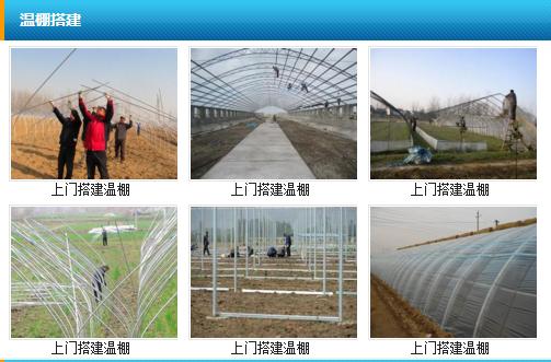 陈燕华是象山县农林局农技推广中心的技术人员,在水稻种